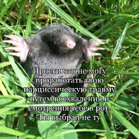 7 i у не могу проработать твою Нарциссическую травму восхваления`и. смотрения нету