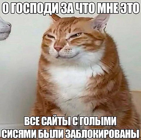 УТОМНЕ ЭТО BCE СИСЯМИ БЫЛИ ЗАБЛОКИРОВАНЫ