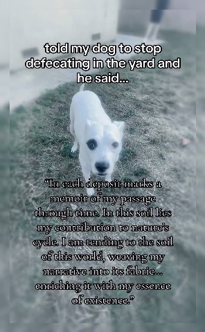 told my dog to stop defecating in the yard and he said... deposi rksja memoir of my through In soil my con cribution tO to the soil of this my narrative inte its fabric... enriching it with my essence