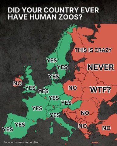 DID YOUR COUNTRY EVER HAVE HUMAN ZOOS? TUS В МЕМЕВ VES NO vag NES) WiES NO yes NO NO