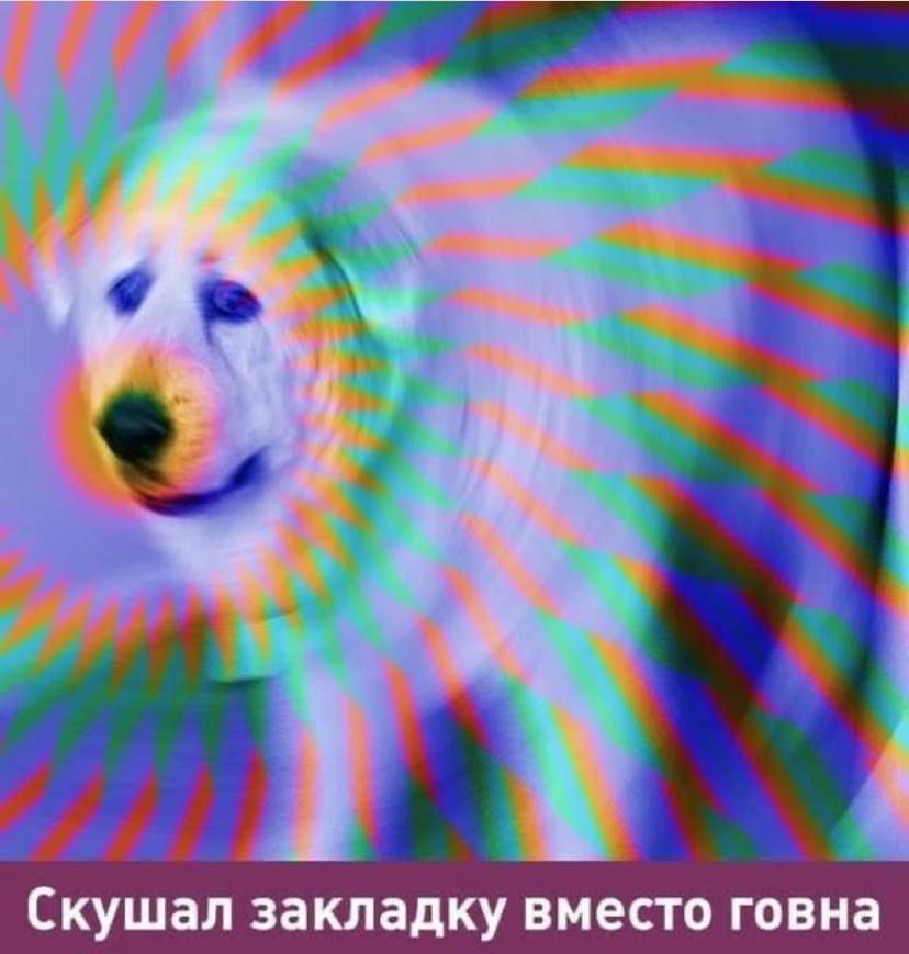 Скушал закладку вместо говна