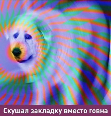 Скушал закладку вместо говна