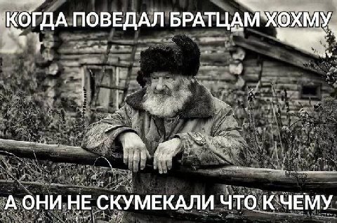 ПОВЕДАЛ БРАТЦАМ“ХОХМУ. А ОНИ НЕ СКУМЕКАЛИ ЧТО К ЧЕМУ