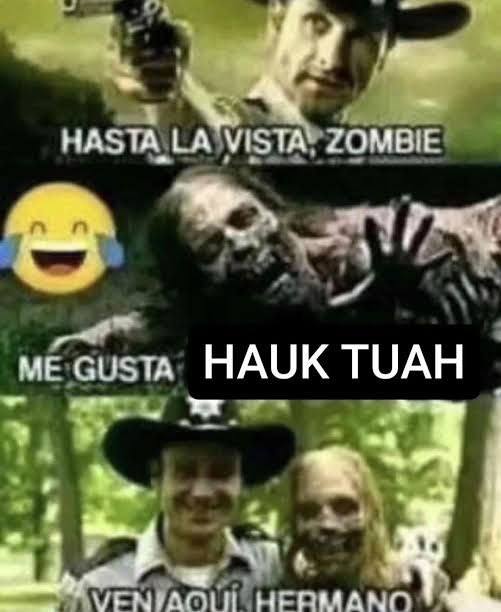 НАЗТА МЕТА. ZOMBIE me Gusta HAUK ТУАН -4 bie