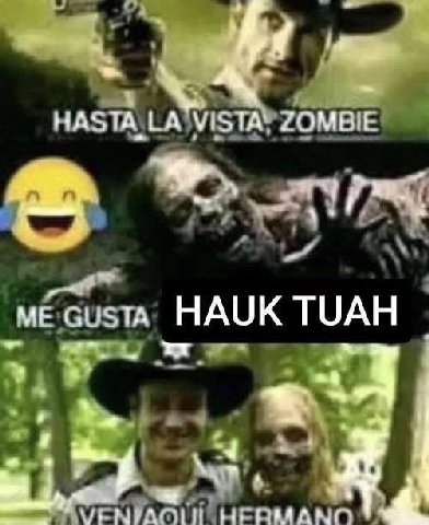 НАЗТА МЕТА. ZOMBIE me Gusta HAUK ТУАН -4 bie