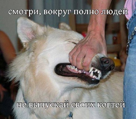 смотри, вокруг полно людей He выпускай с когтей