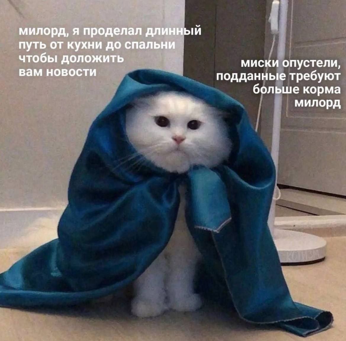 милорд, я проделал длинный путь от кухни до спальни чтобы доложить вам новости миски опустели, подданные требуют больше корма милорд