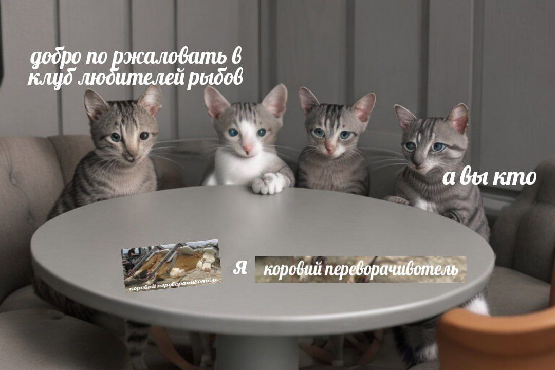 добро по ржаловать 6 Я 7 Я коровий переворачивотель а