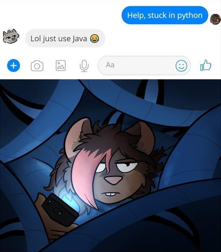 Help, stuck python use Java