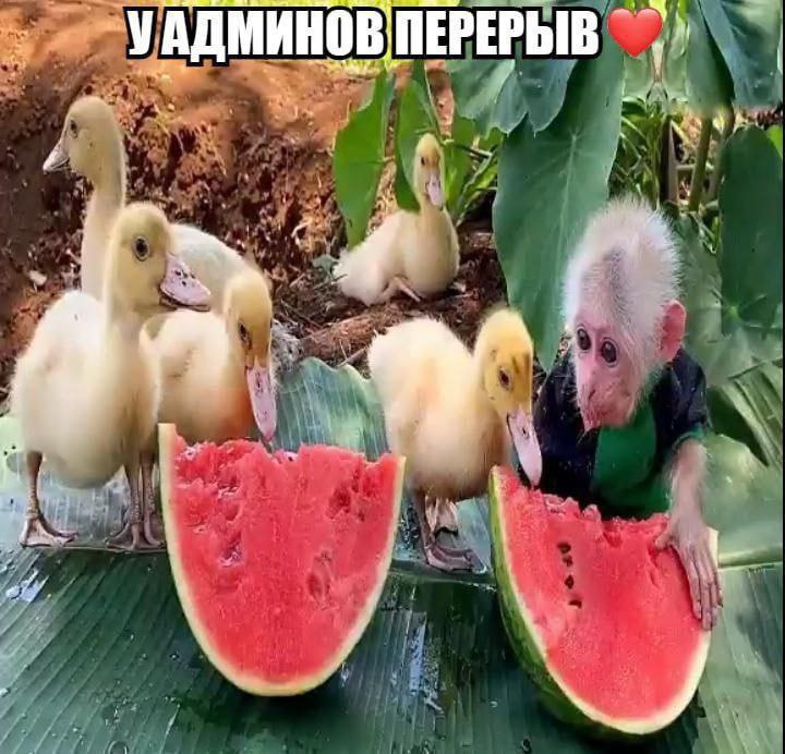 УАДМИНОВ ПЕРЕРЫВ 4 a