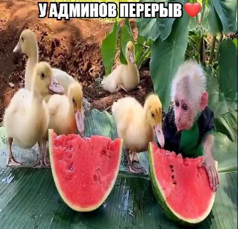 УАДМИНОВ ПЕРЕРЫВ 4 a