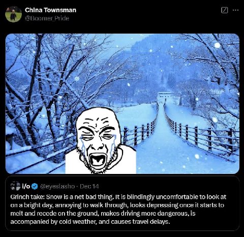 =, China Townsman @ -. Grinch take: Snow is a net bad thing. It is blindingly uncomfortable to look at ona bright day, annoying to walk through, looks depressing once it starts to melt and recede on t