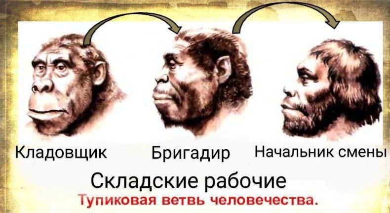 a> Кладовщик Бригадир Начальник смены Складские рабочие Тупиковая ветвь человечества.