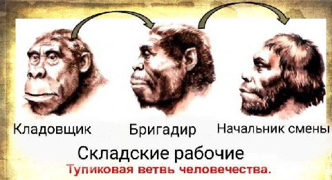 a> Кладовщик Бригадир Начальник смены Складские рабочие Тупиковая ветвь человечества.
