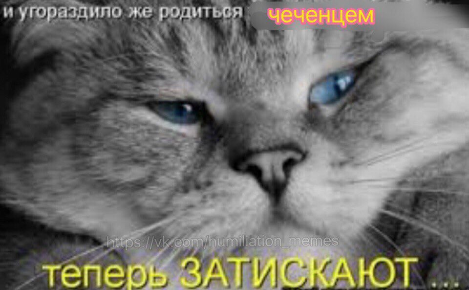 и угораздипа же родиться чеченцем 4 я