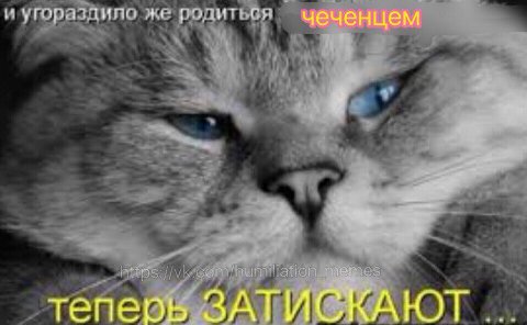и угораздипа же родиться чеченцем 4 я