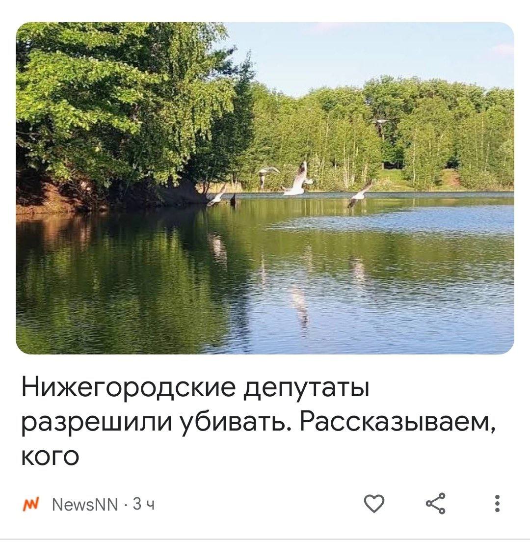 Нижегородские депутаты разрешили убивать. Рассказываем, КОГО NewsNN-34