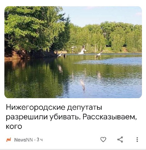 Нижегородские депутаты разрешили убивать. Рассказываем, КОГО NewsNN-34