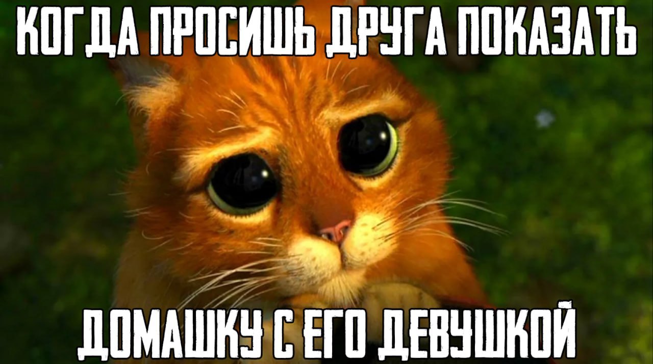 КОГДА ПРОСИШЬ ДРУГА ПОКАЗАТЬ С ЕГО ДЕВУШКОЙ