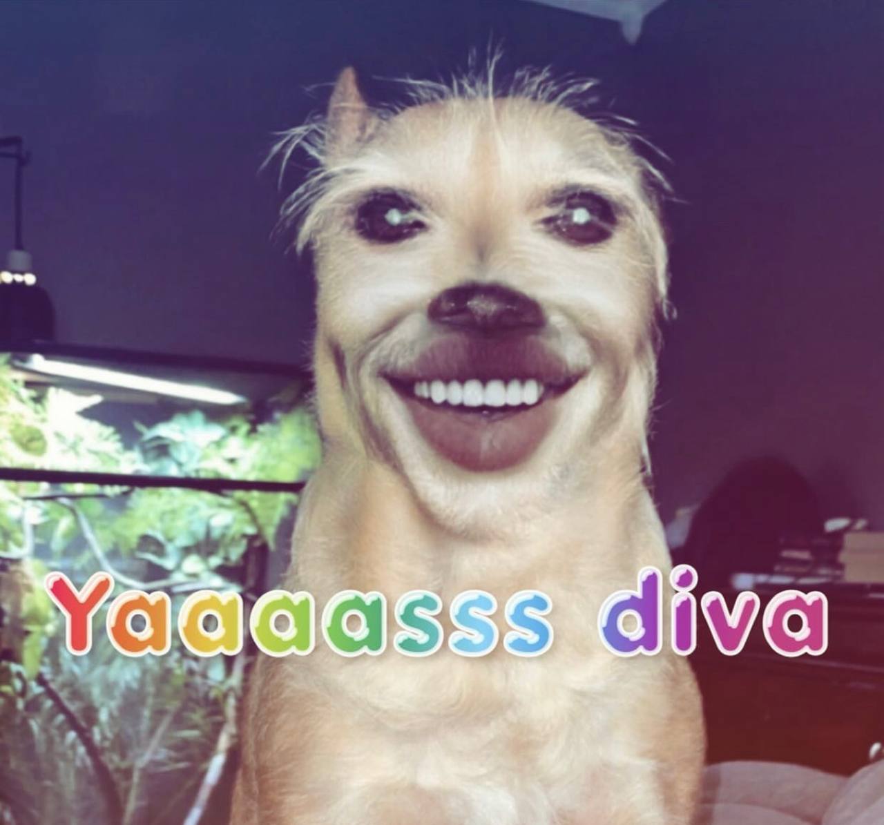 7 3
