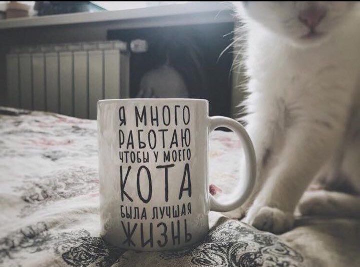 9 4 2 “a A РАБОТАЮ ЧТОБЫ У MOLTO