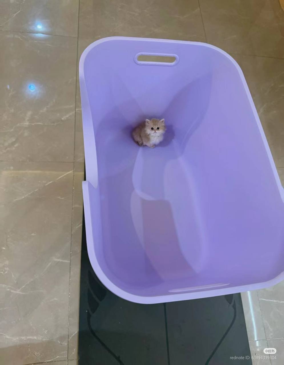 9304