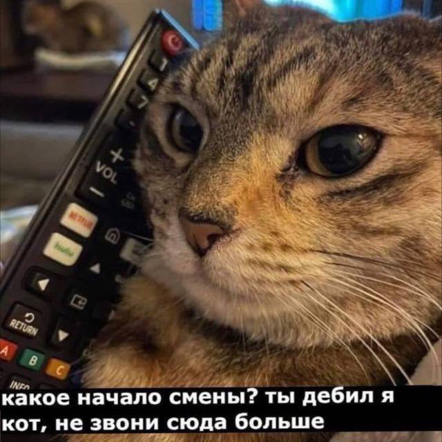 какое начало смены? ты дебил я кот, не звони сюда больше
