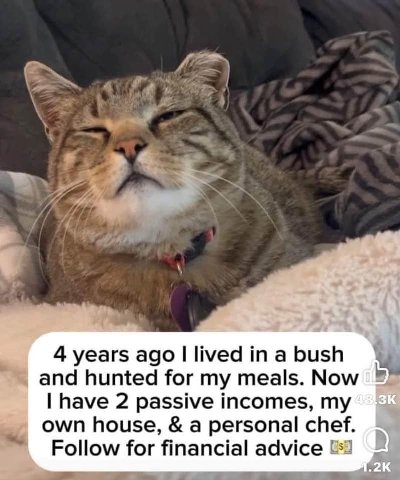 4 years ago lived a bush and hunted for my meals. Now have 2 passive incomes, own house, a personal chef. Follow for financial advice .2К
