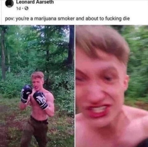 arse pov: а marijuana smoker and about to fucking die