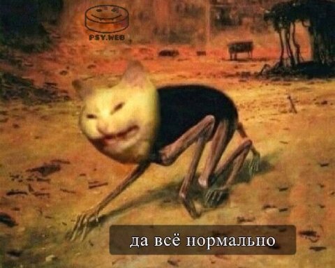 да вес пормально