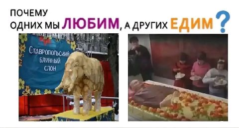 ПОЧЕМУ одних мы ЮБИМ, А ДРУГИХ ЕДИМ БЛИННЫЙ СЛОН 4