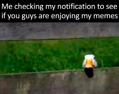 checking my notification to see if you guys are enjoying my memes