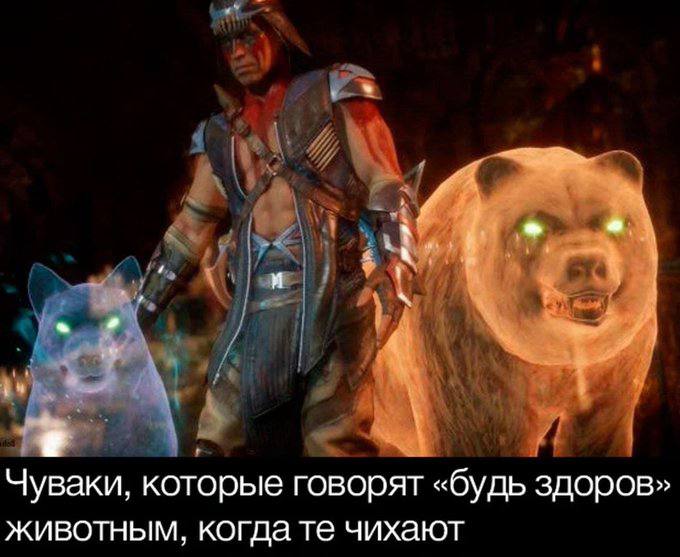 Чуваки, которые говорят «будь здоров» животным, когда чихают