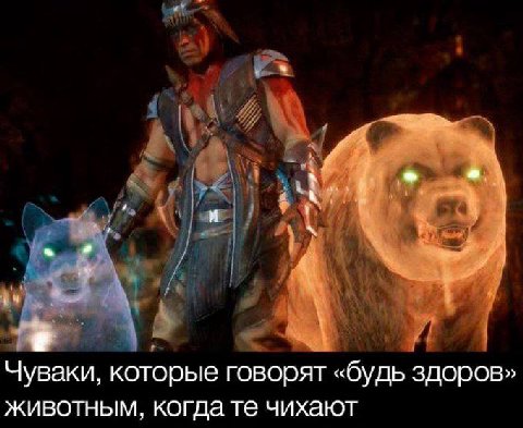 Чуваки, которые говорят «будь здоров» животным, когда чихают