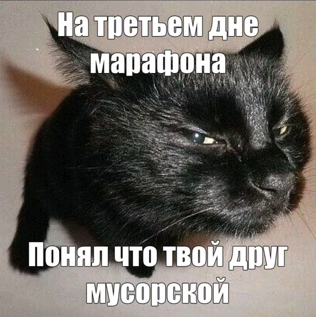 На третьем дне марафона Понял что твой друг мусорской