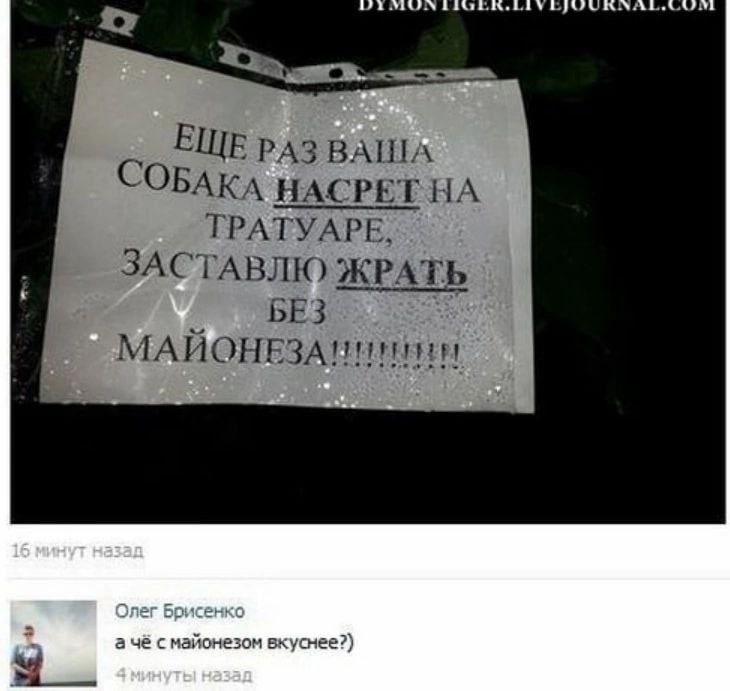 ЕЩЕРАЗВАША СОБАКА НАСРЕТ НА ТРАТУАРЕ, ЗАСТАВЛЮ ЖРАТ bE3 а чё вкуснее?)