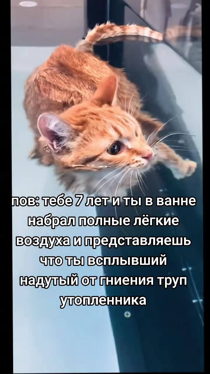 пов-зтебе/лещитьце ванне, набралполныелепкие] воздухаипредставляешь надульйотниенияйтрул набралтолныеленкие чтотЬИВсплывший Кнадульйоттниенияйтрул повзтебе/лемикты в ванне" набралтолныелёгкие воздухаИ
