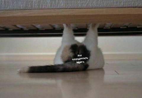 вы находитесь здесь