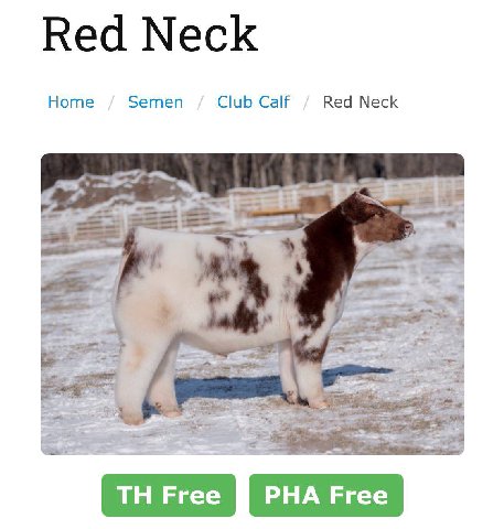 Ноте Semen Club Calf Red Neck ЕЕ: 4 у a Free PHA Free