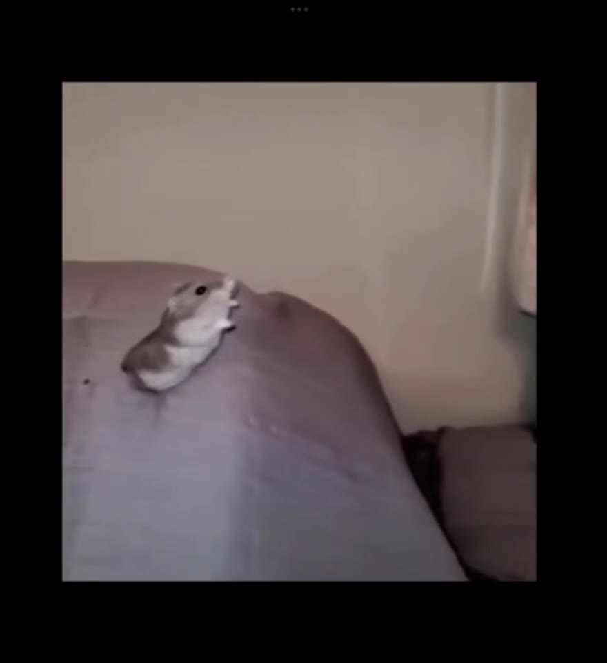 “a