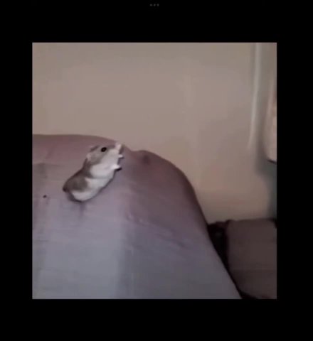 “a