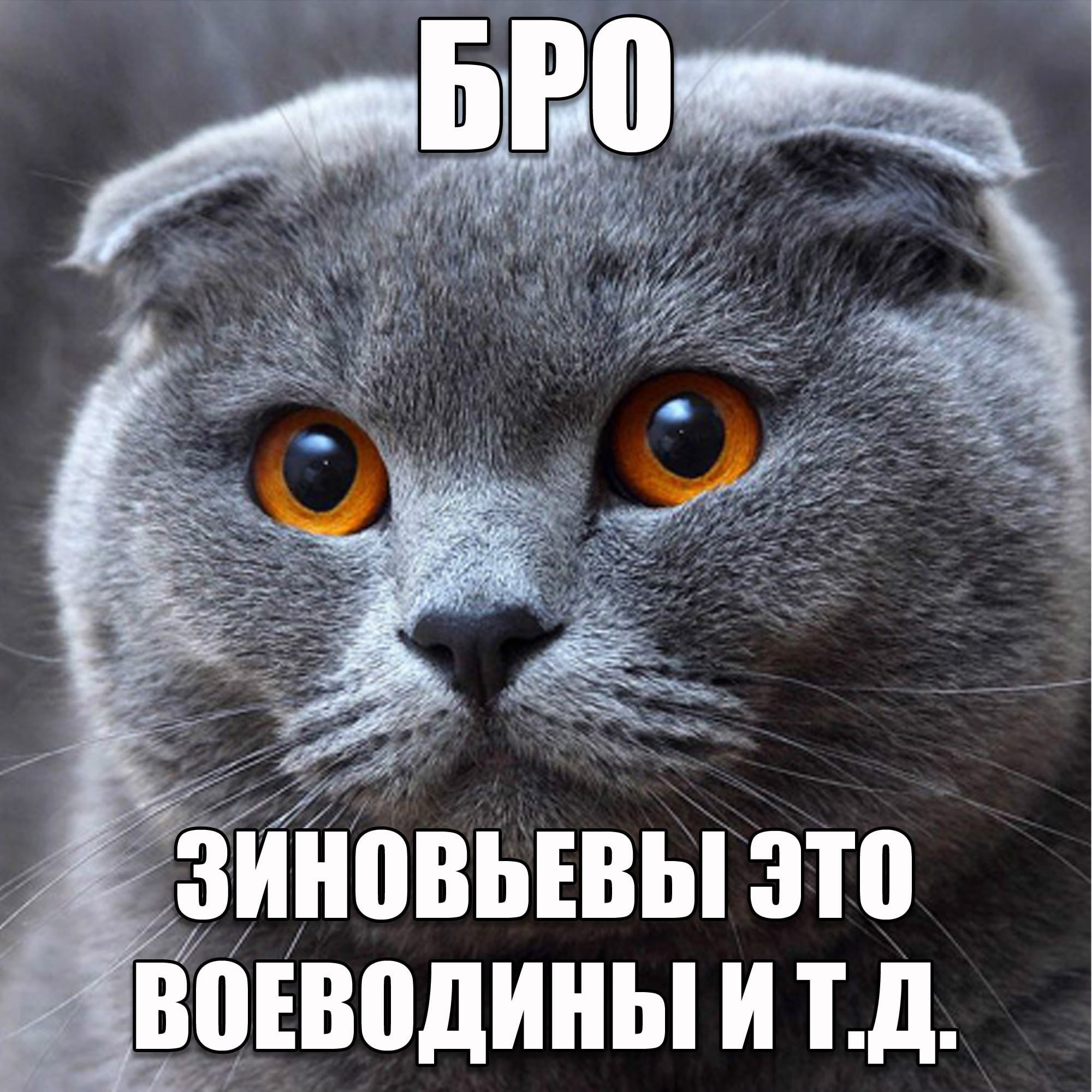 bRO 4 Я 4 „Я ~<a sie 4 SSS A ЗИНОВЬЕВЫ ЭТО ЕВОДИНЫ ИТ.Д. 0