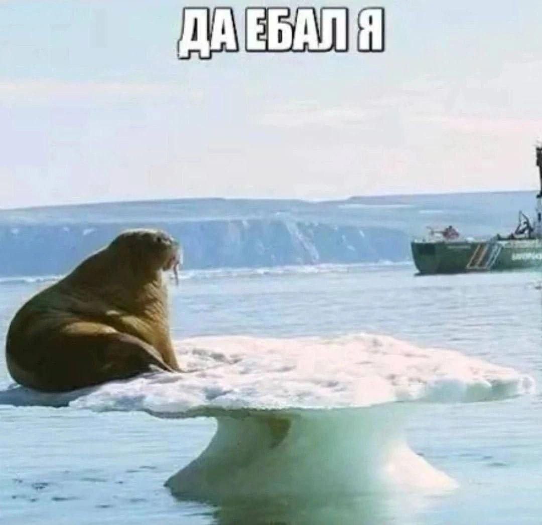 ДАТЕБАЛЯ № _
