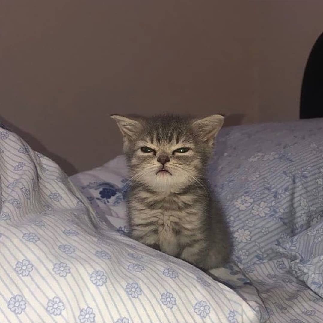 awake but at what cost
