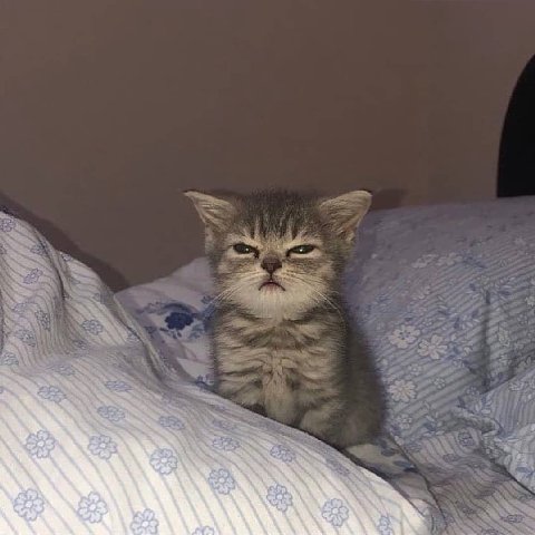 awake but at what cost
