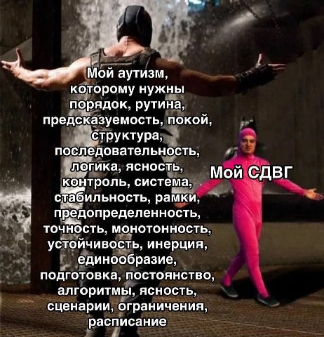 аутизм, которому нужны порядок, рутина, предсказуемость, покой, структура, последовательность, логика, ЯСНОСТЬ, Мой СДВГ контроль, система, стабильность, рамки, предопределенность, Точность, монотонно