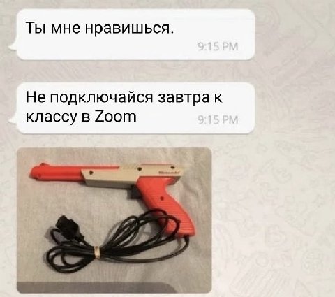 Ты мне нравишься. Не подключайся завтра к классу в Zoom