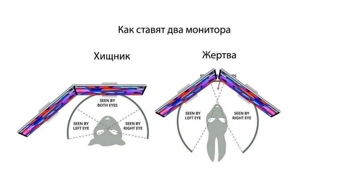 Как ставят два монитора Хищник Жертва SEEN у 4 ЗЕЕМ SEEN LEFT EYE RIGHT EYE ЗЕЕМ LEFT EYE EYE и