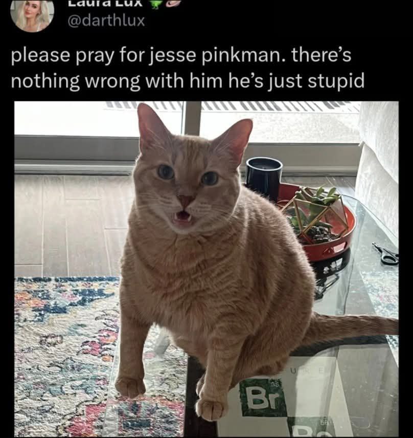 LUA darthl please pray for jesse pinkman. there’s nothing wrong with him he’s just stupid 4 ath,