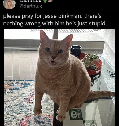LUA darthl please pray for jesse pinkman. there’s nothing wrong with him he’s just stupid 4 ath,